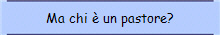 Ma chi � un pastore?